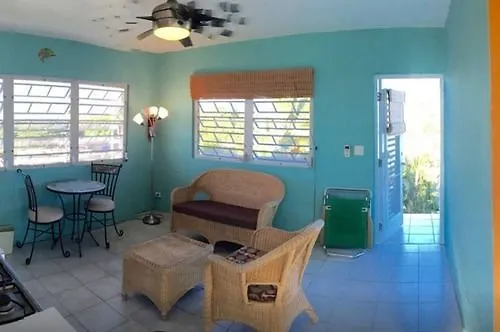 *** Guest house Acacia Guesthouse Esperanza Puerto Rico